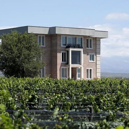 Gaia Lodge Tupungato Zewnętrze zdjęcie