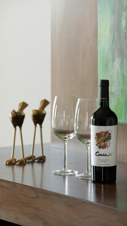 Gaia Lodge Tupungato Zewnętrze zdjęcie